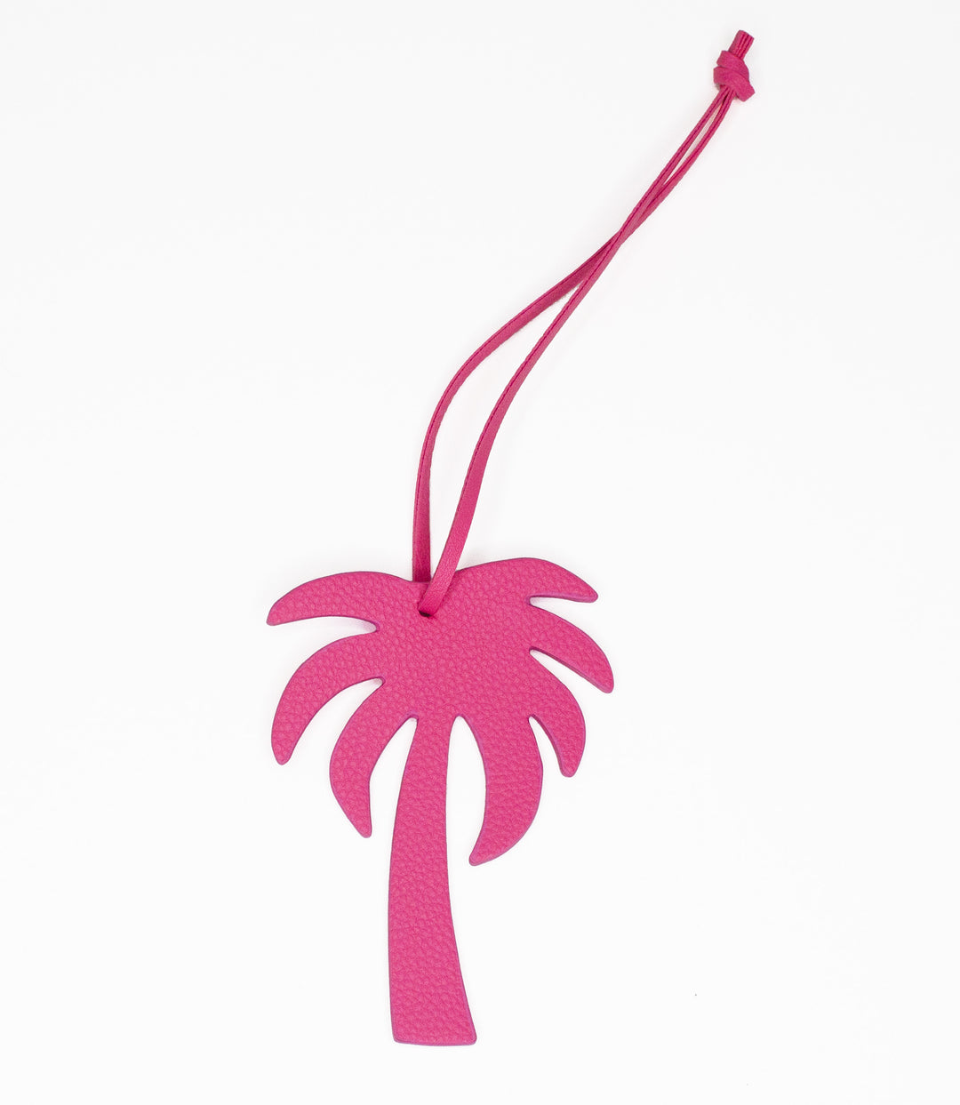 Palm Tree Charm